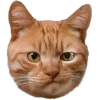 Стикер 15 Котеки Tg