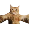 Стикер 3 Котеки Tg