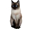 Стикер 37 Котеки Tg