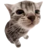 Стикер 12 Котеки Tg