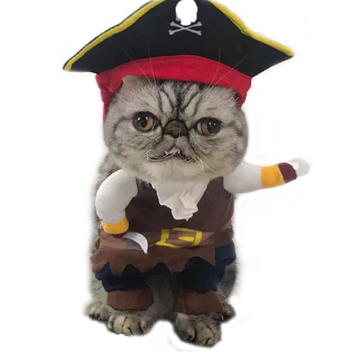 👻 Стикер «Котбезумен» для Telegram