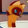 Стикер 27 Котенок По Имени