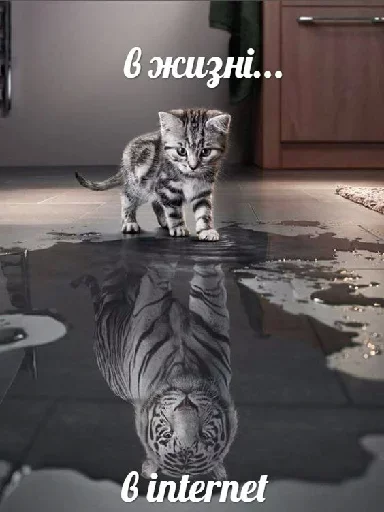 😙 Стикер «Котейчество» для Telegram
