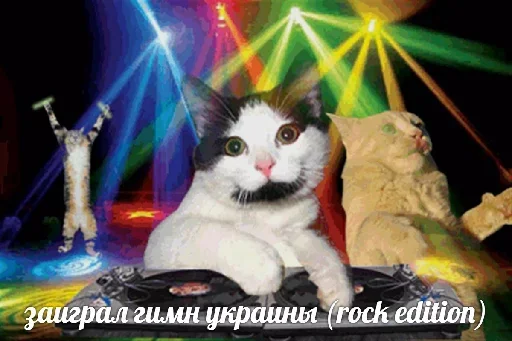 😊 Стикер «Котейчество» для Telegram
