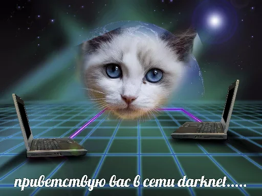 😌 Стикер «Котейчество» для Telegram