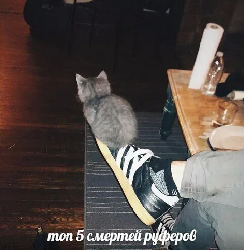 😚 Стикер «Котейчество» для Telegram