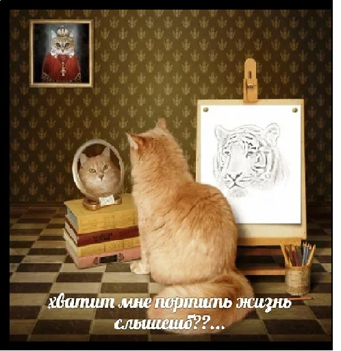 😍 Стикер «Котейчество» для Telegram