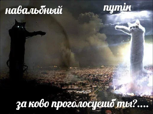 😙 Стикер «Котейчество» для Telegram