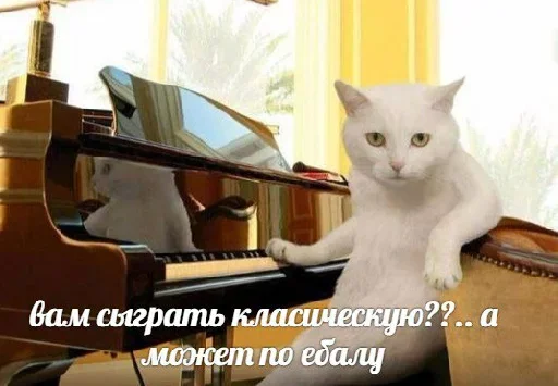 Стикерпак Котейчество для Telegram