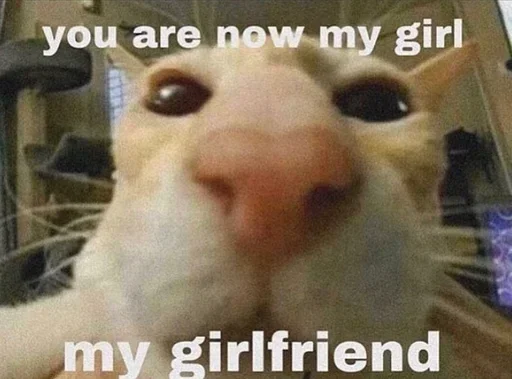 😘 Стикер «котики х2» для Telegram