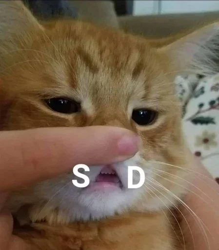 😢 Стикер «котики х2» для Telegram