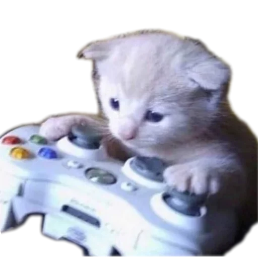 🎮 Стикер «коти» для Telegram