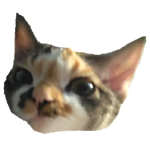 😏 Стикер «Котярик» для Telegram