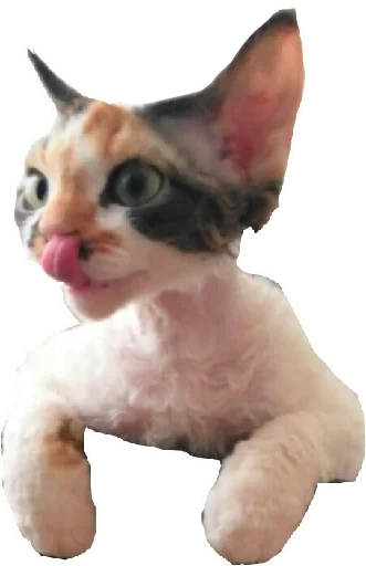 😜 Стикер «Котярик» для Telegram