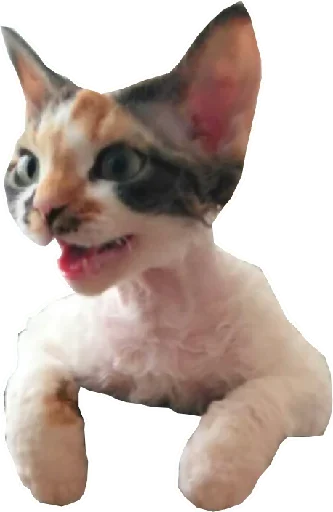 😻 Стикер «Котярик» для Telegram