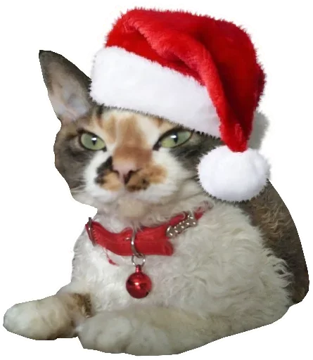 🎉 Стикер «Котярик» для Telegram