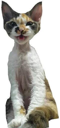 😄 Стикер «Котярик» для Telegram