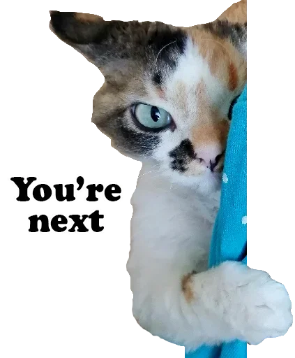 😈 Стикер «Котярик» для Telegram
