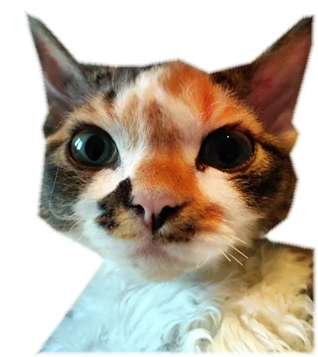 🐈 Стикер «Котярик» для Telegram