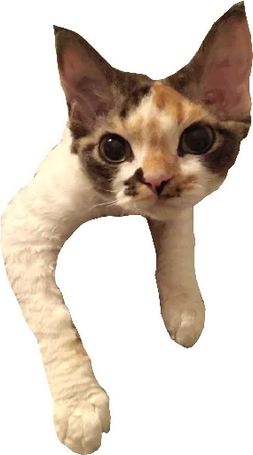☺️ Стикер «Котярик» для Telegram