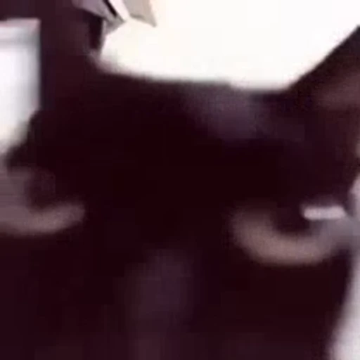 🤪 Стикер «Kotiashi» для Telegram