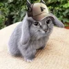 Стикер 12 Котик