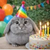 Стикер 53 Котик