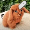 Стикер 47 Котик