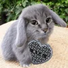 Стикер 39 Котик