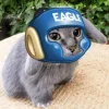 Стикер 50 Котик