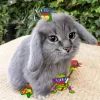Стикер 22 Котик
