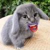 Стикер 23 Котик