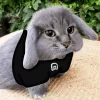 Стикер 37 Котик