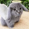 Стикер 28 Котик
