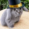 Стикер 42 Котик