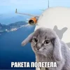 🤩 Эмодзи «Котик» для Telegram