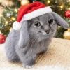 Стикер 46 Котик