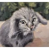 Стикер 55 Котик