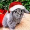 Стикер 21 Котик