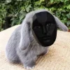 Стикер 38 Котик
