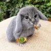 Стикер 14 Котик