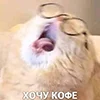 😺 Эмодзи «Кот» для Telegram