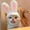 😺 Эмодзи «Кот» для Telegram