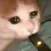 😺 Эмодзи «Кот» для Telegram