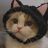 😺 Эмодзи «Кот» для Telegram