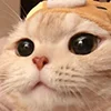 😺 Эмодзи «Кот» для Telegram