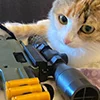 😺 Эмодзи «Кот» для Telegram