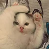 😺 Эмодзи «Кот» для Telegram
