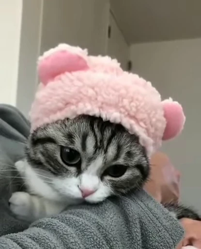 ☺️ Стикер «Kotik Bkycno 2» для Telegram