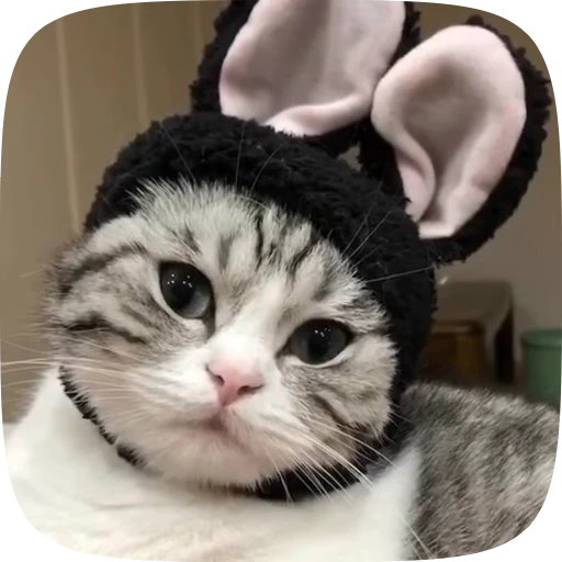 🥴 Стикер «Kotik Bkycno 2» для Telegram